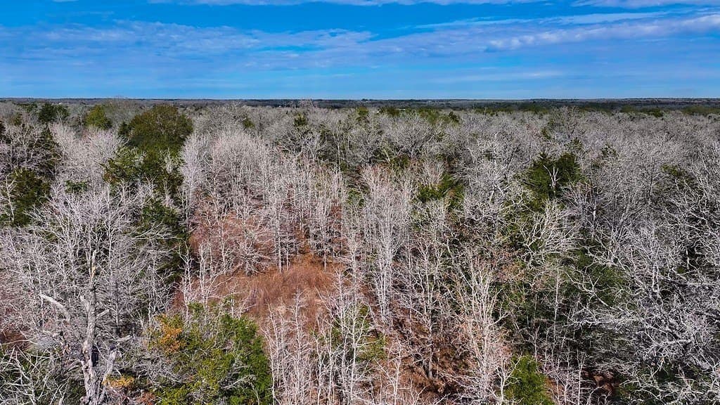 80.45 acres in Fayette County - photo 10