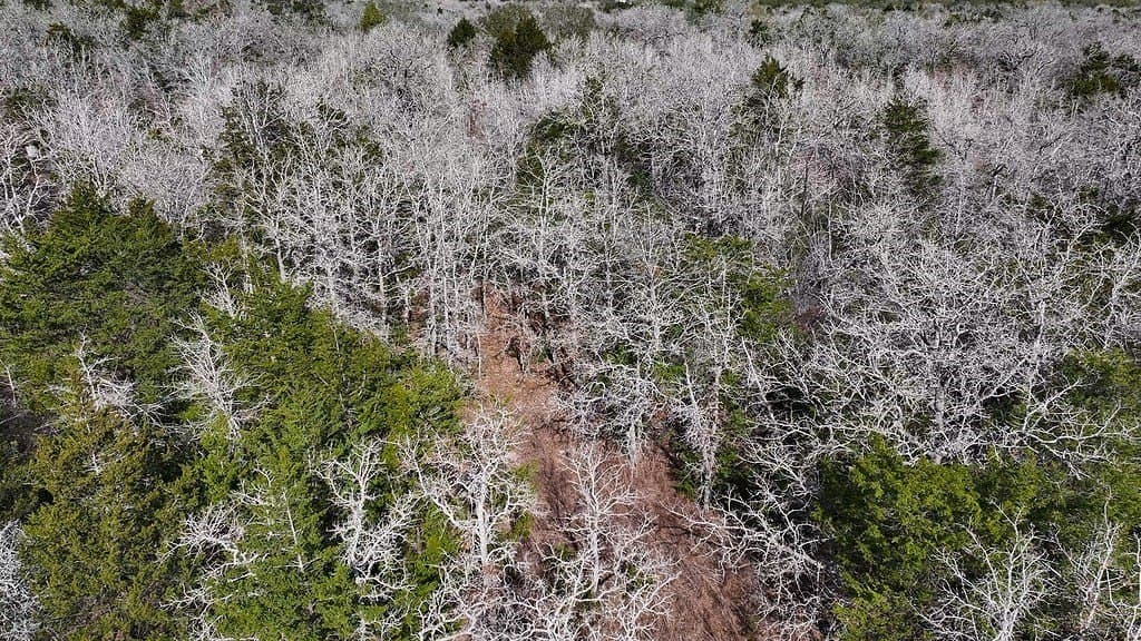 80.45 acres in Fayette County - photo 12