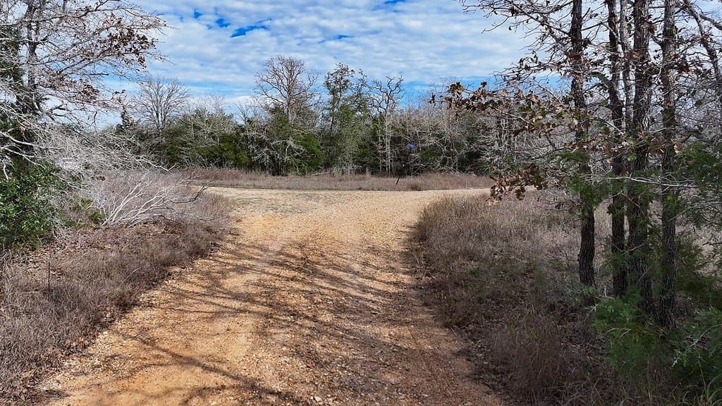 80.45 acres in Fayette County - photo 8