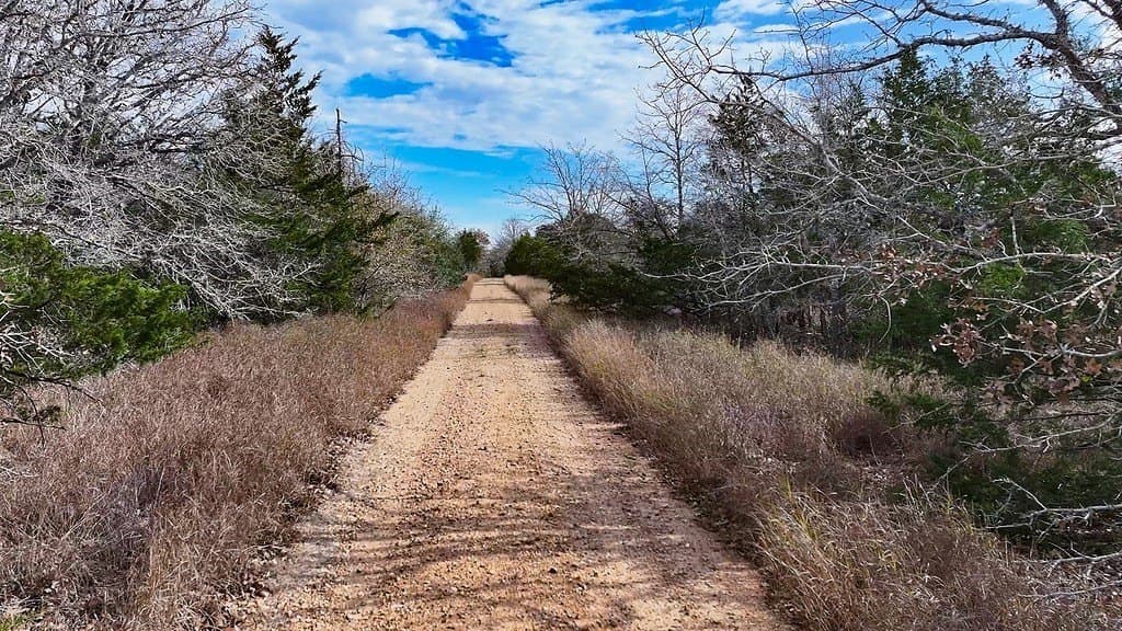 80.45 acres in Fayette County - photo 3