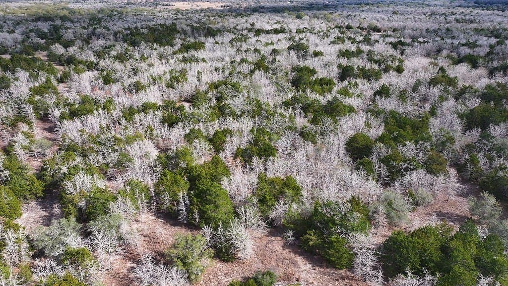 80.45 acres in Fayette County - photo 17
