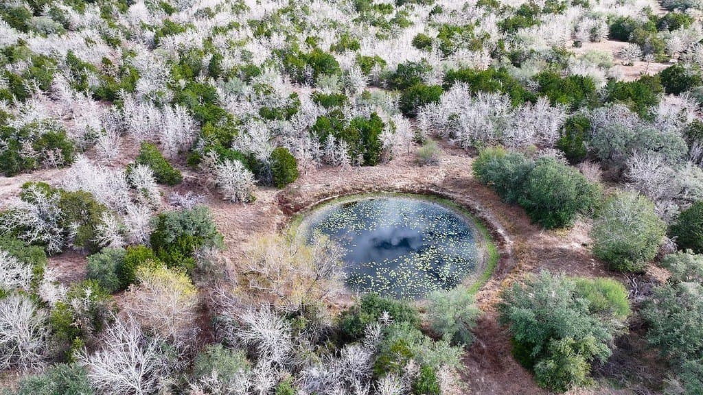 80.45 acres in Fayette County - photo 9