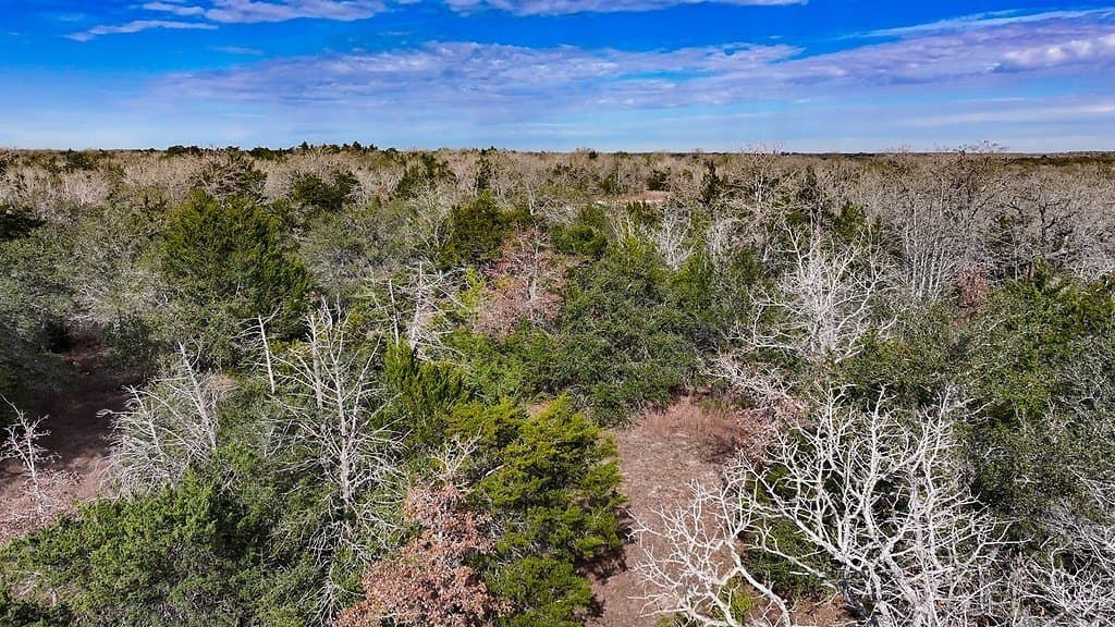 80.45 acres in Fayette County - photo 11