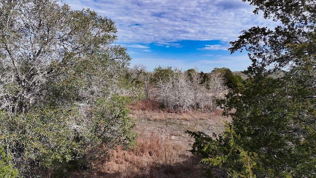 80.45 acres in Fayette County - photo 14