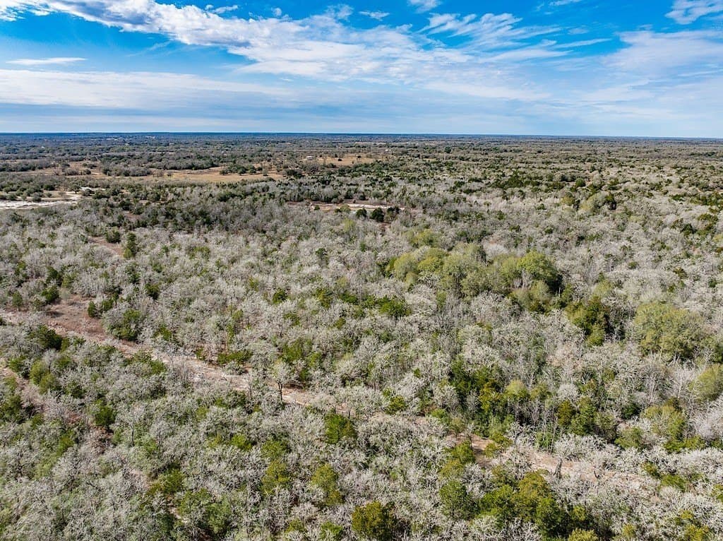 80.45 acres in Fayette County - photo 13