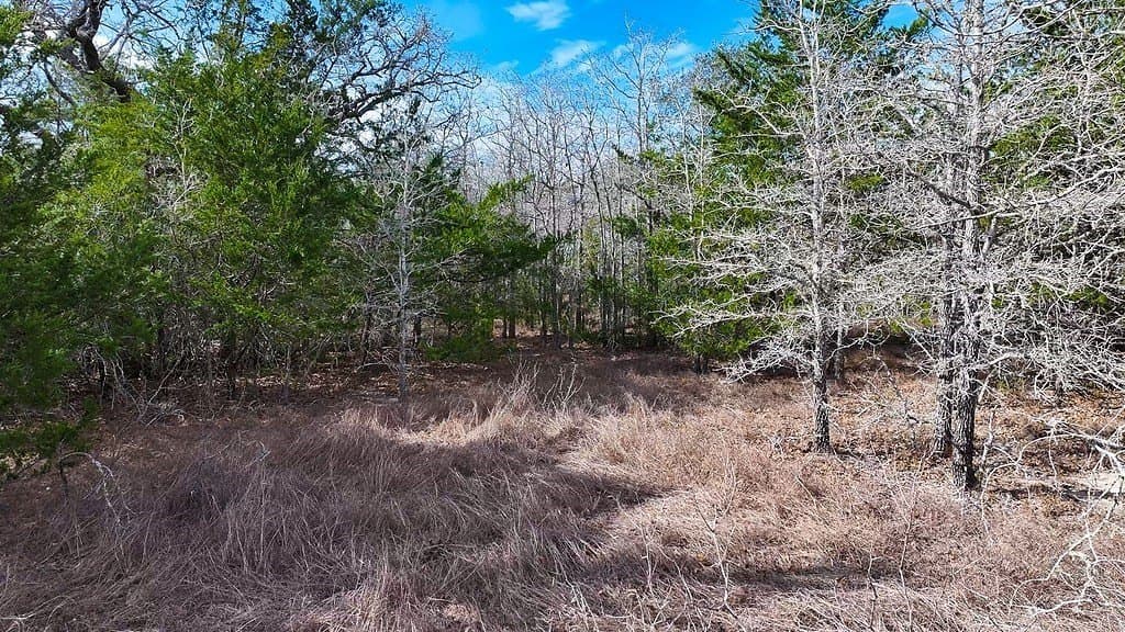 80.45 acres in Fayette County - photo 7