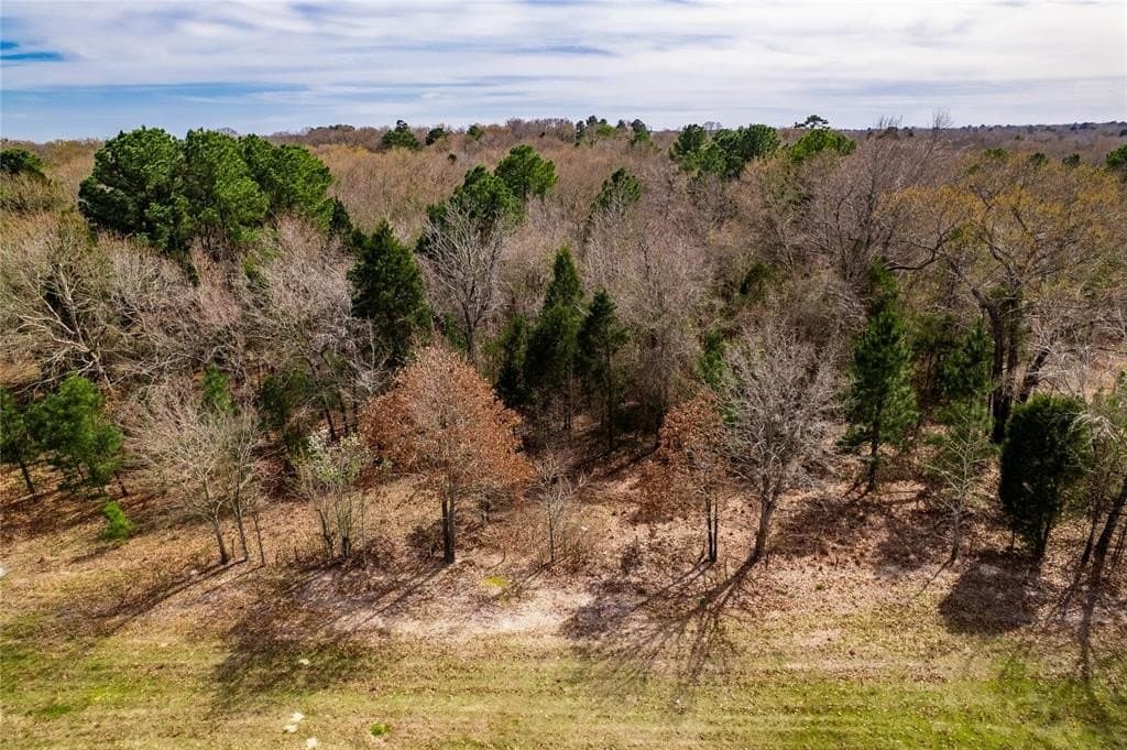 3.7 acres in Henderson County - photo 26