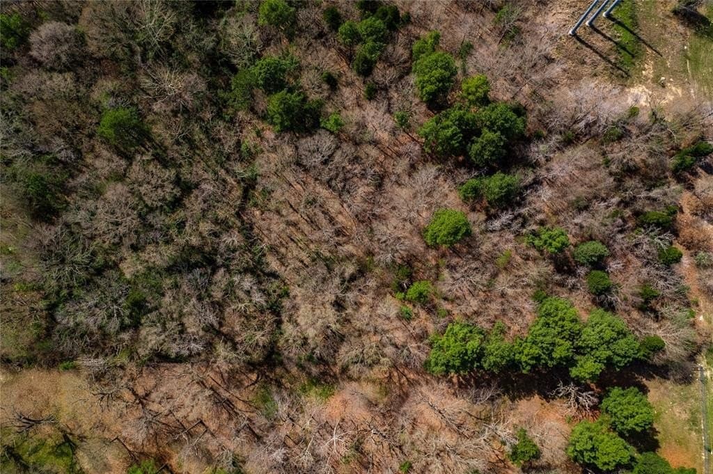 3.7 acres in Henderson County - photo 13