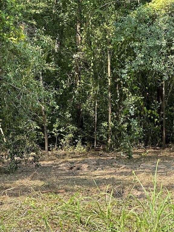 3.7 acres in Henderson County - photo 30