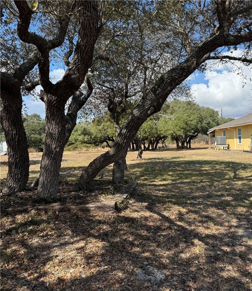 0.22 acres in San Patricio County - photo 2