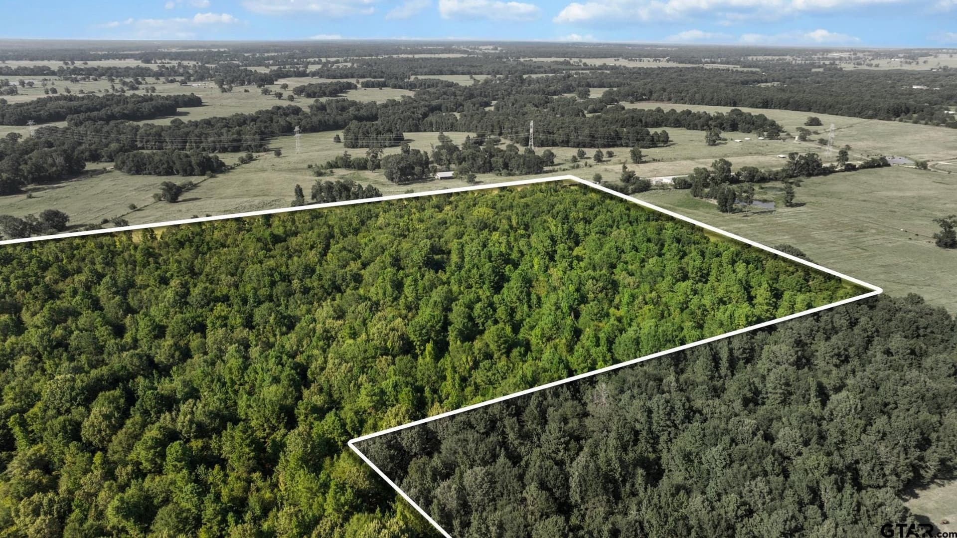 54.58 acres in Cherokee County - photo 9