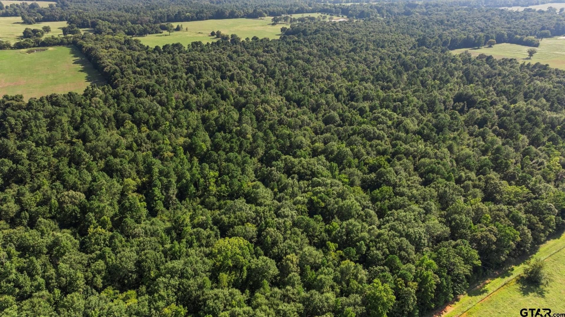54.58 acres in Cherokee County - photo 12
