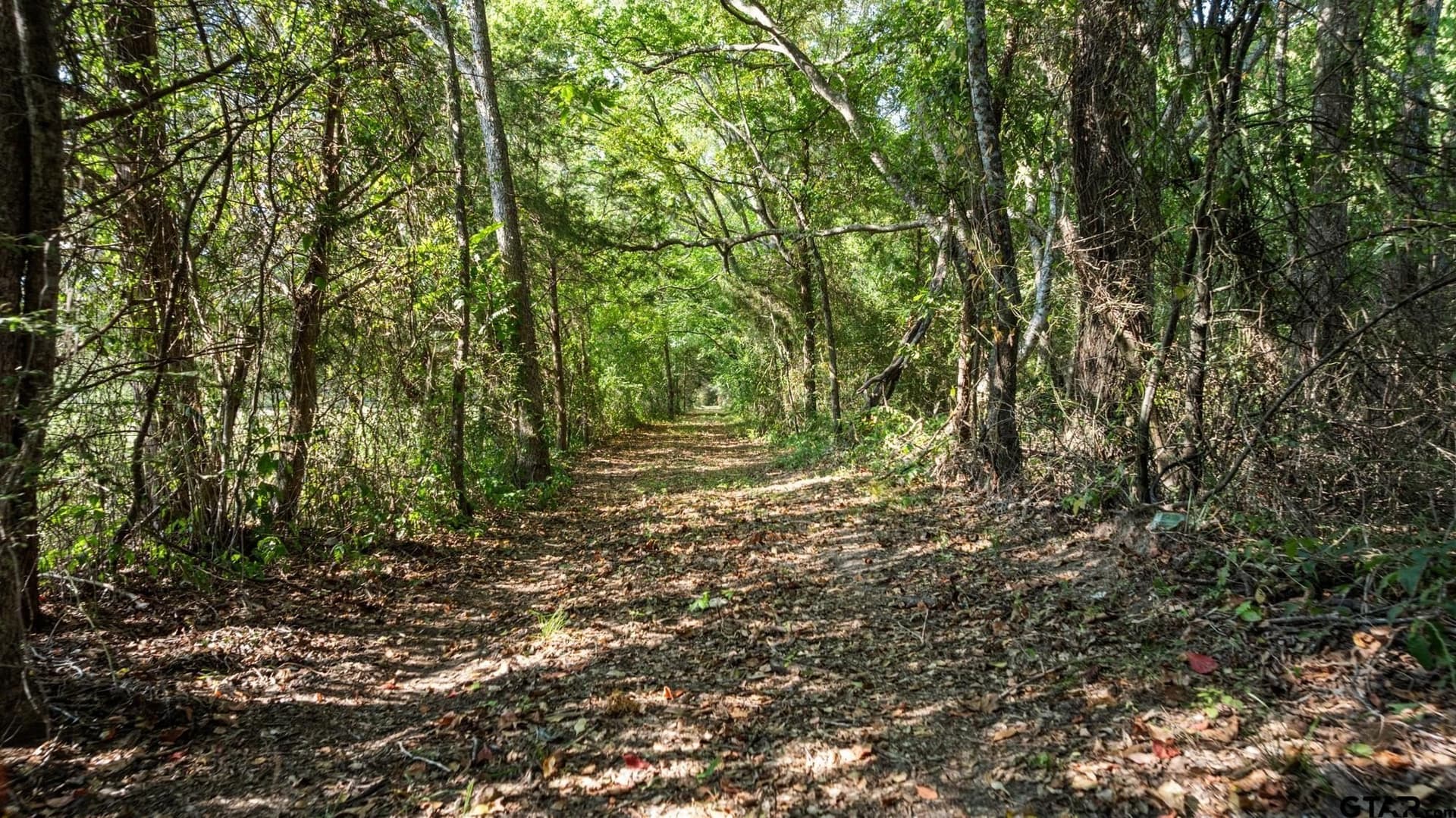 54.58 acres in Cherokee County - photo 3