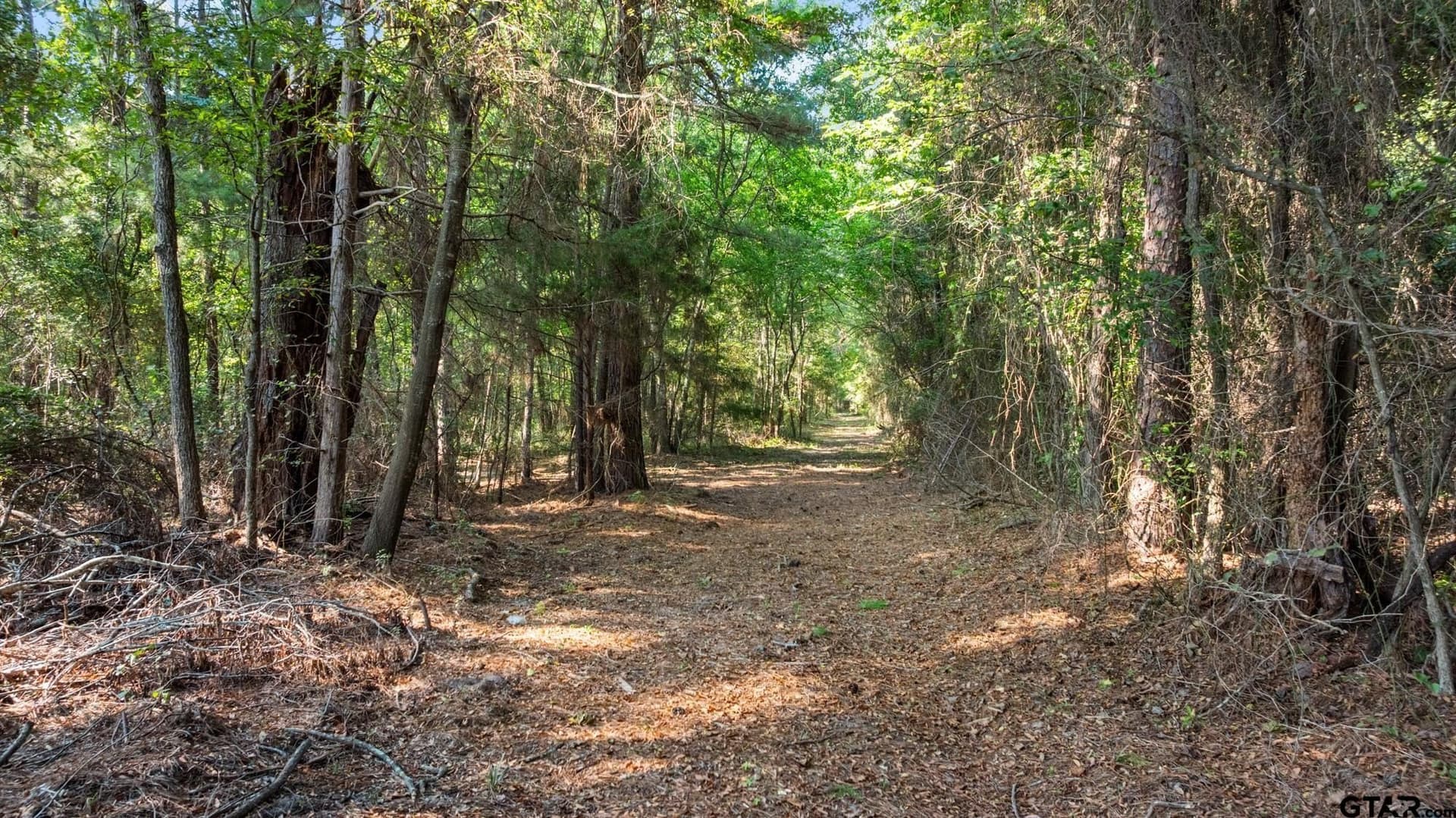 54.58 acres in Cherokee County - photo 4