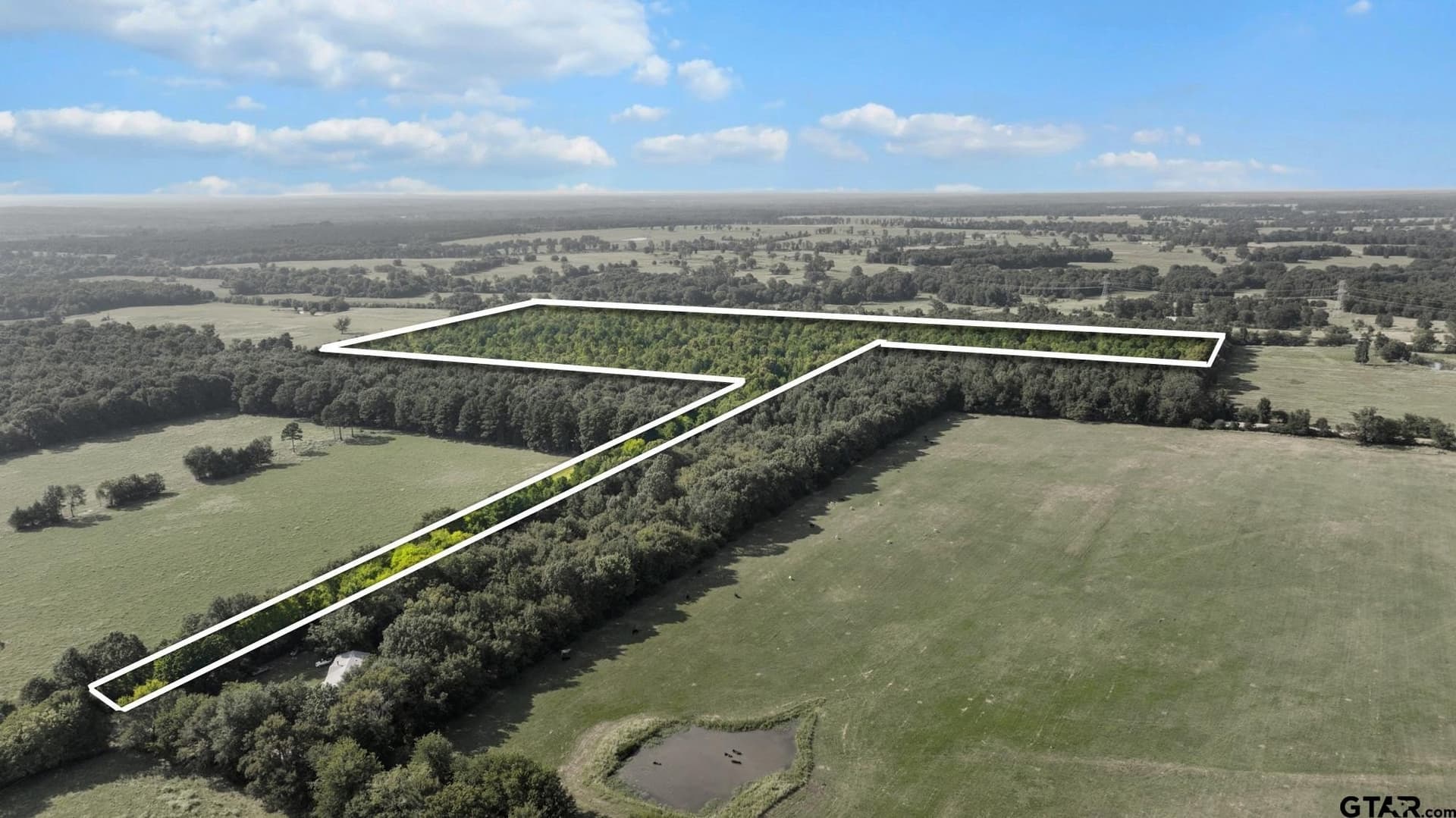 54.58 acres in Cherokee County - photo 7