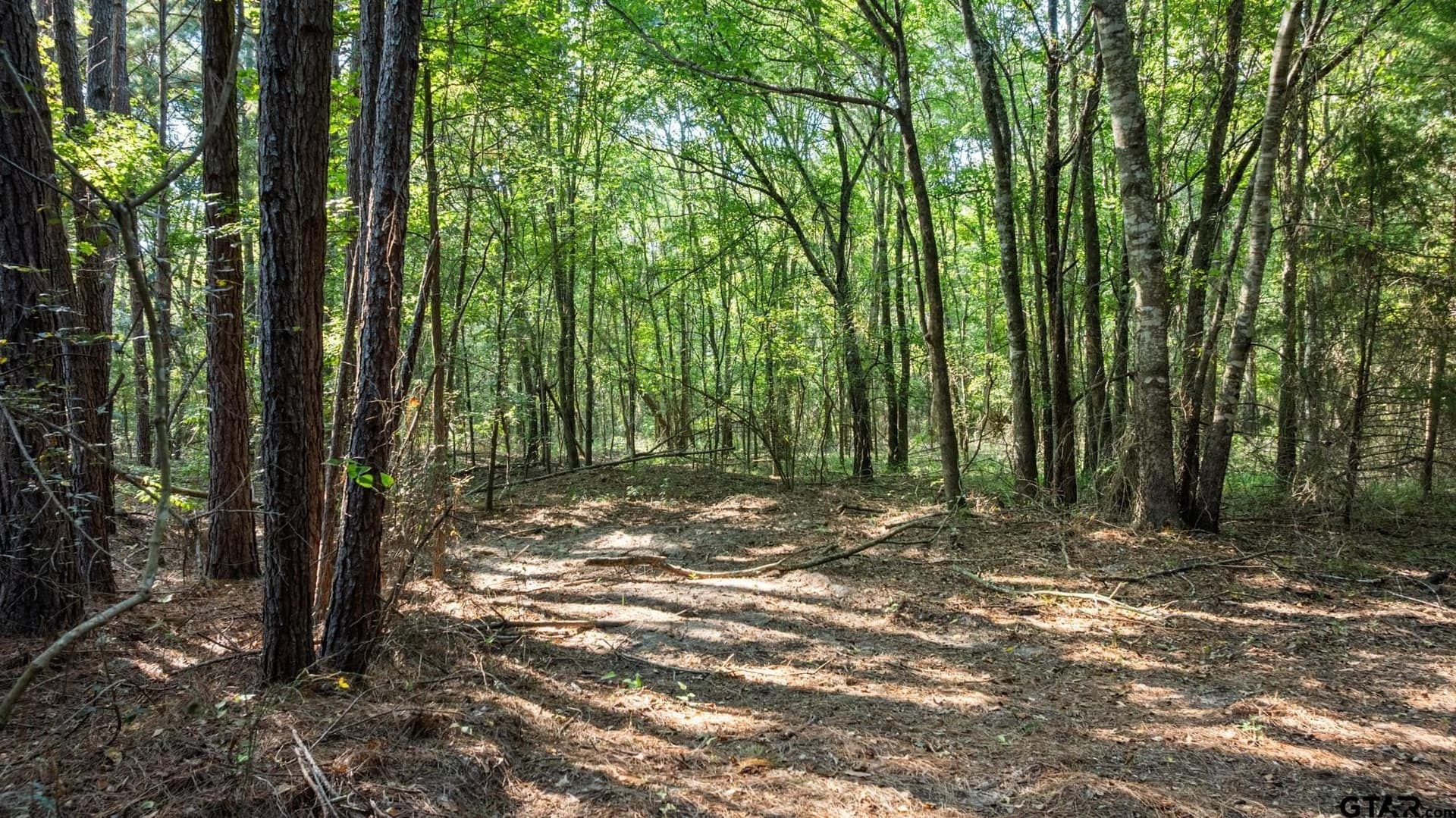 54.58 acres in Cherokee County - photo 5