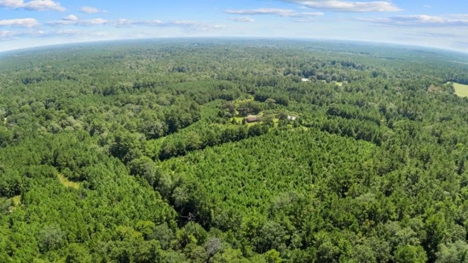 39.85 acres in Texas County - photo 14