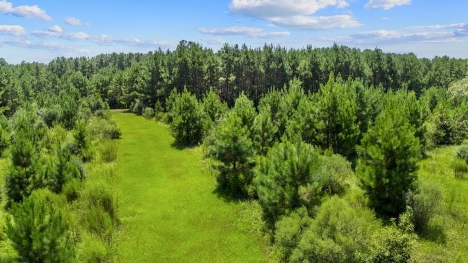 39.85 acres in Texas County - photo 13