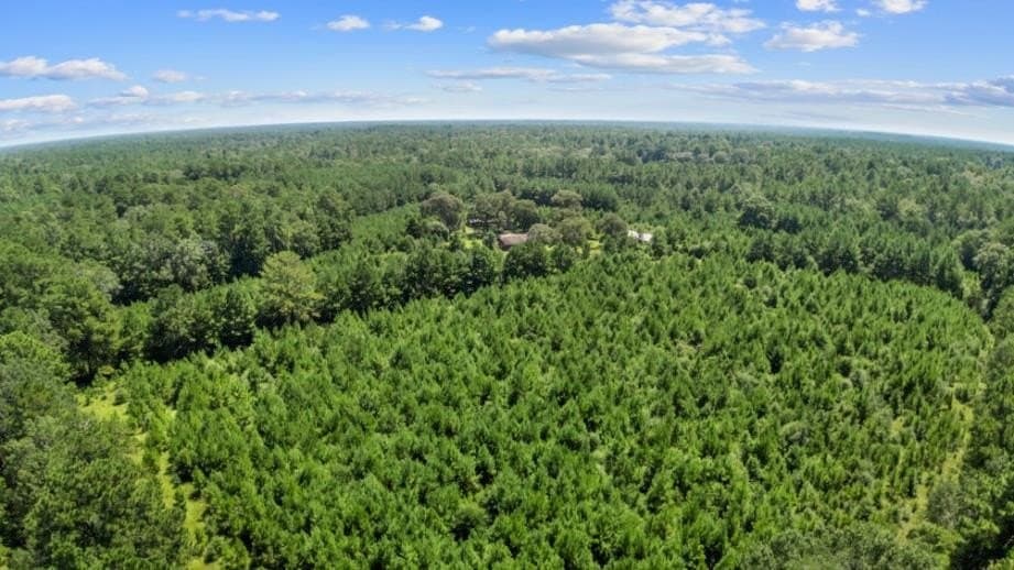 39.85 acres in Texas County - photo 39