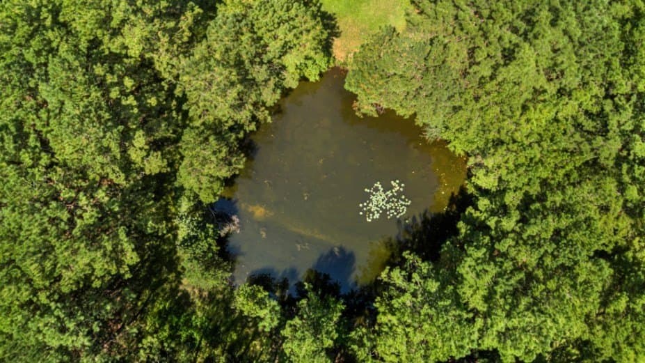 39.85 acres in Texas County - photo 42