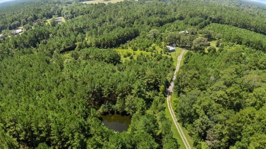 39.85 acres in Texas County - photo 16