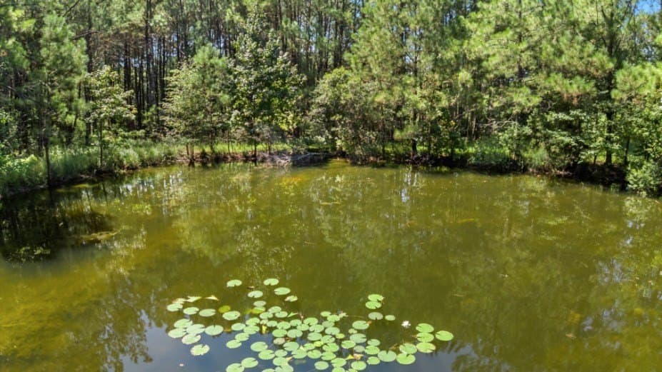 39.85 acres in Texas County - photo 15