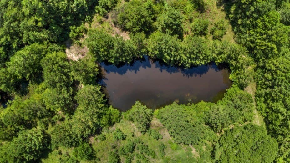 39.85 acres in Texas County - photo 20