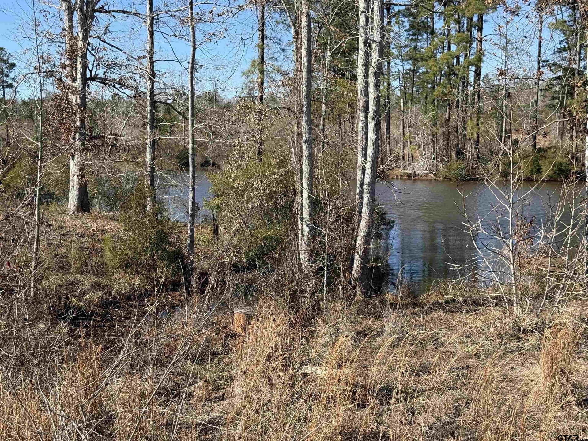 16.09 acres in Cherokee County - photo 8