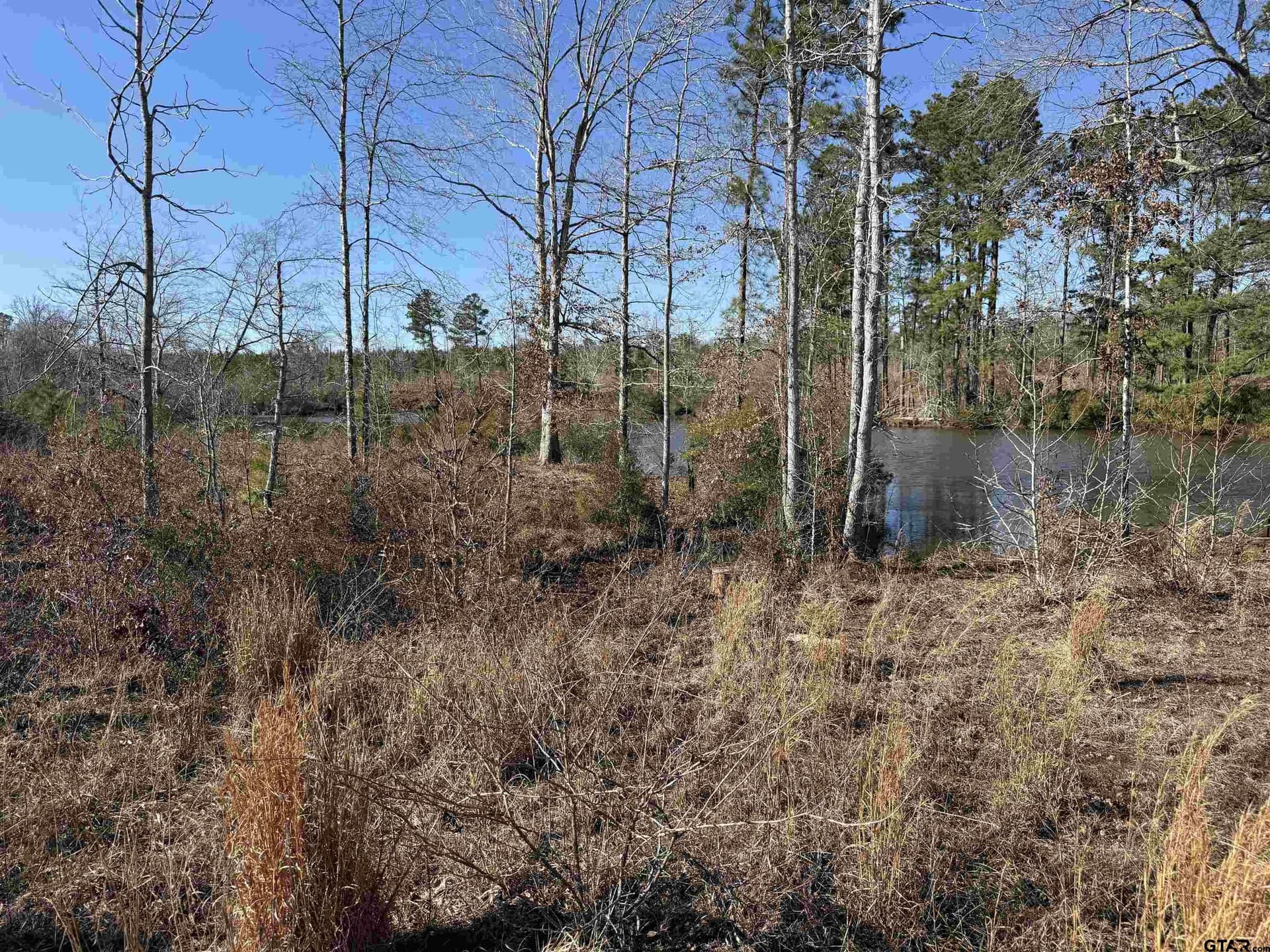 16.09 acres in Cherokee County - photo 9
