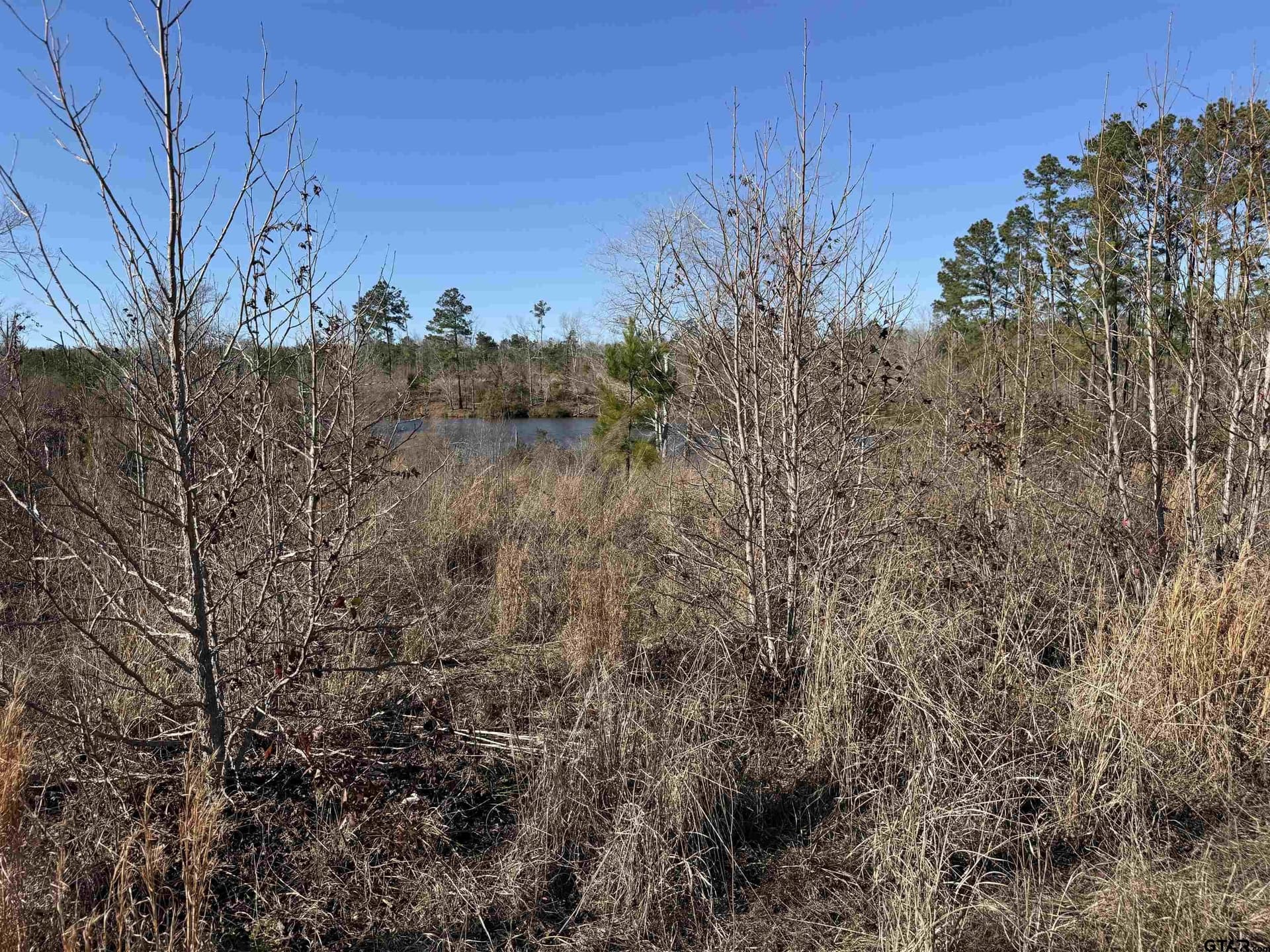 16.09 acres in Cherokee County - photo 6