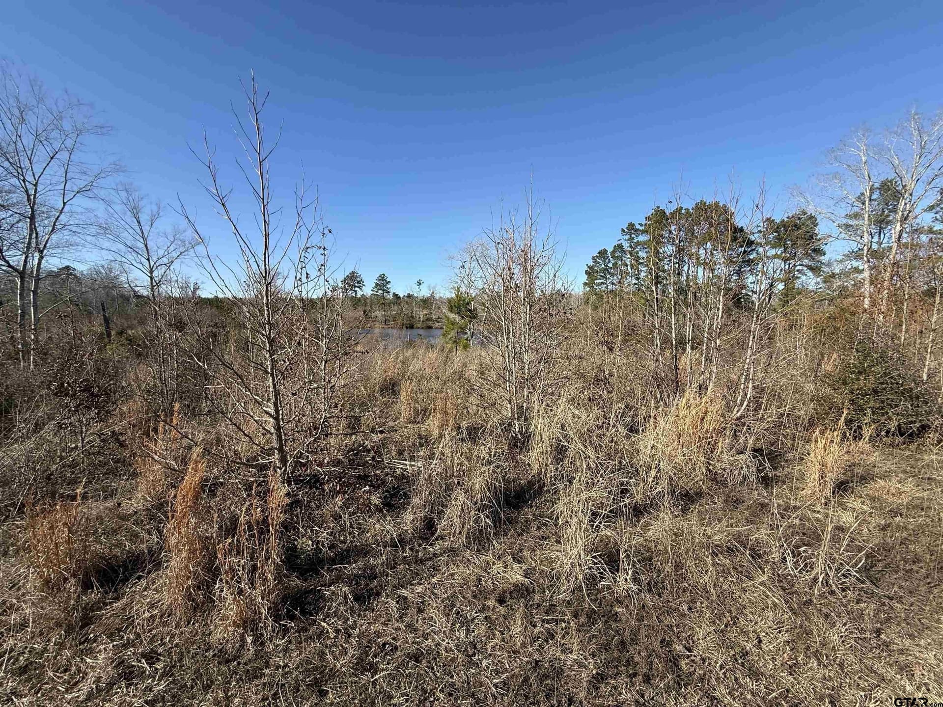 16.09 acres in Cherokee County - photo 7
