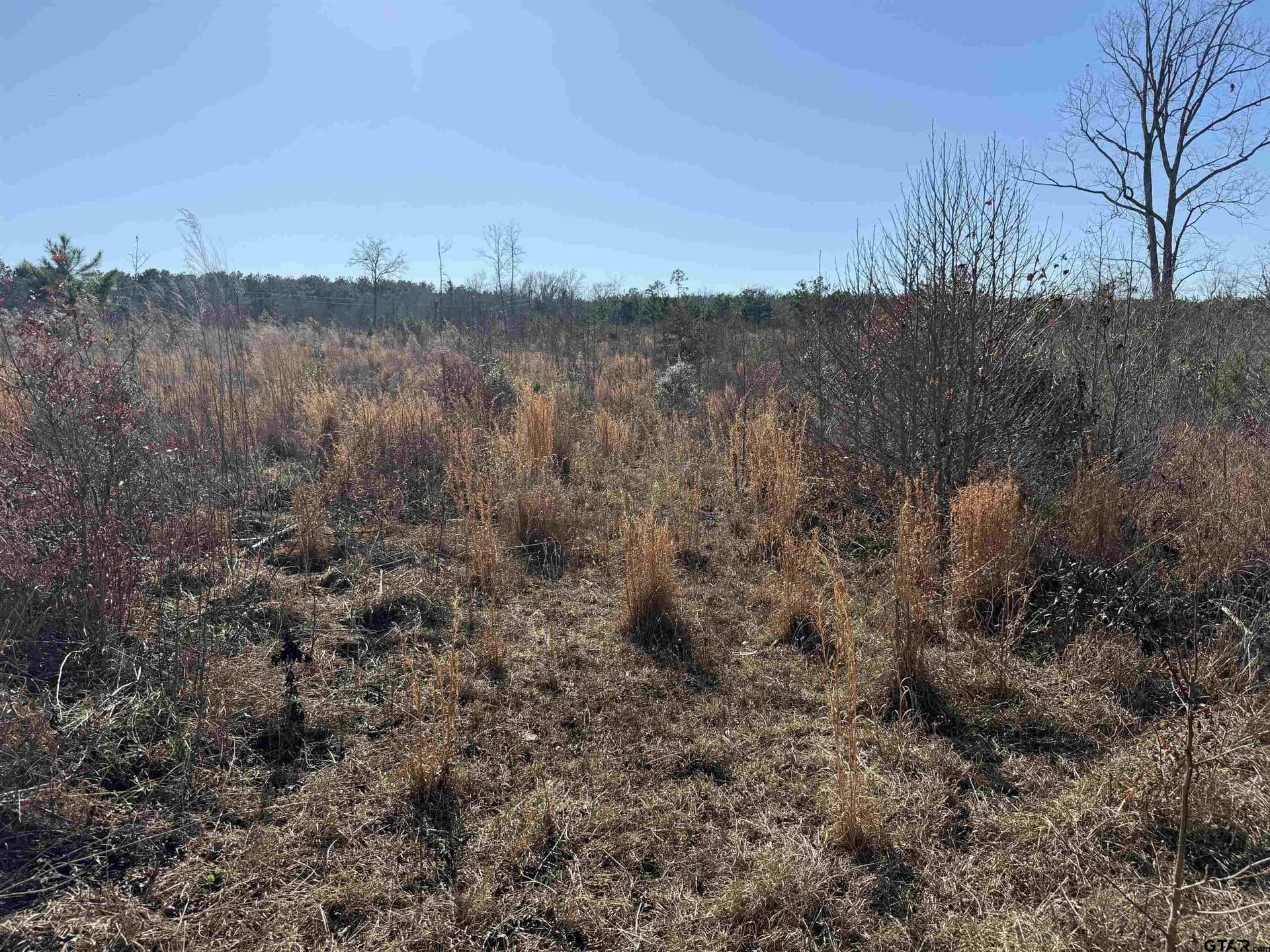 16.09 acres in Cherokee County - photo 4
