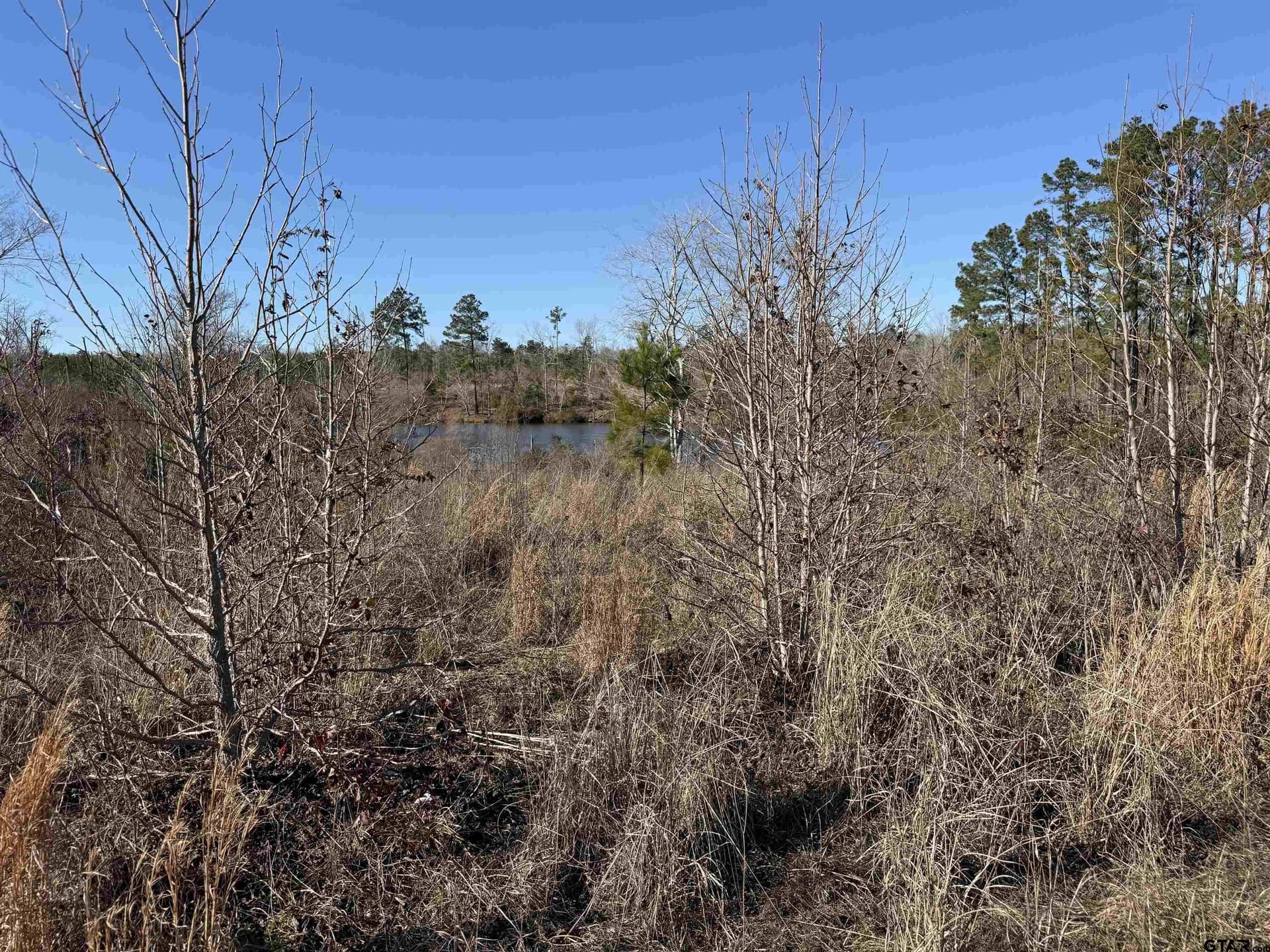 16.09 acres in Cherokee County - photo 5