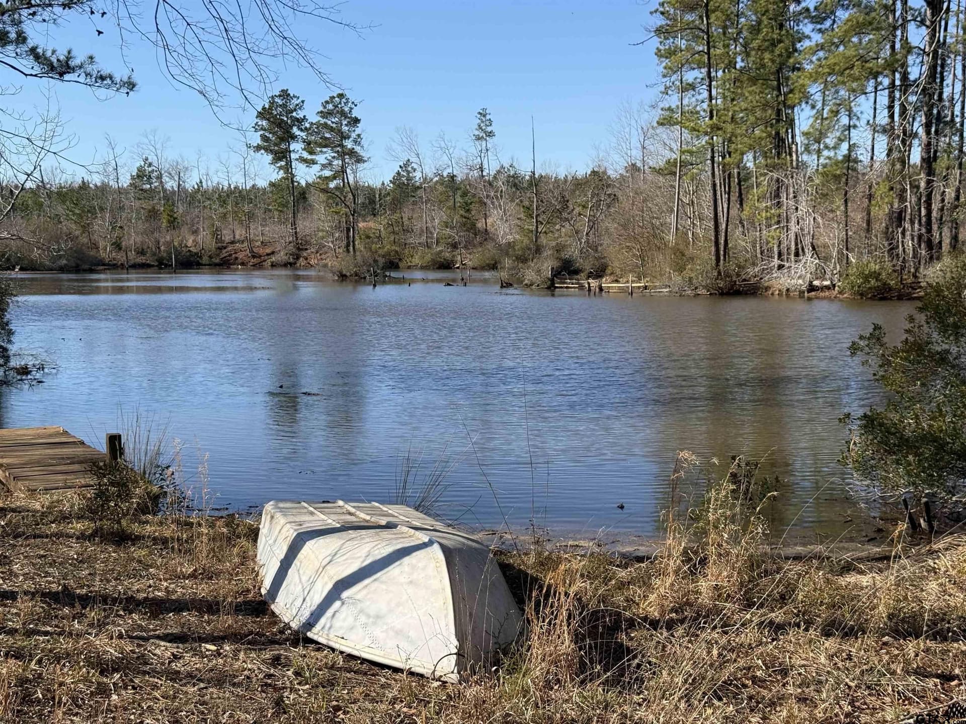 16.09 acres in Cherokee County - photo 11