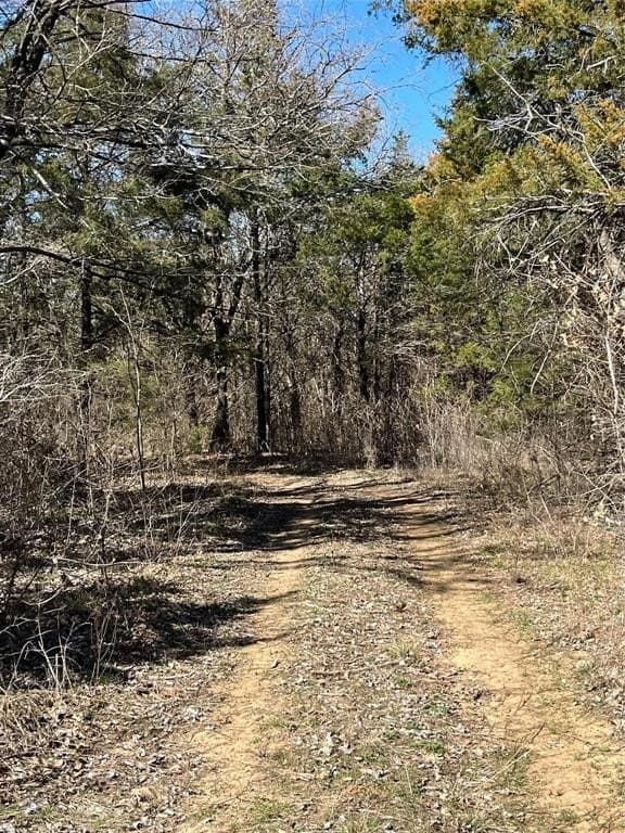 76.55 acres in Cooke County - photo 12