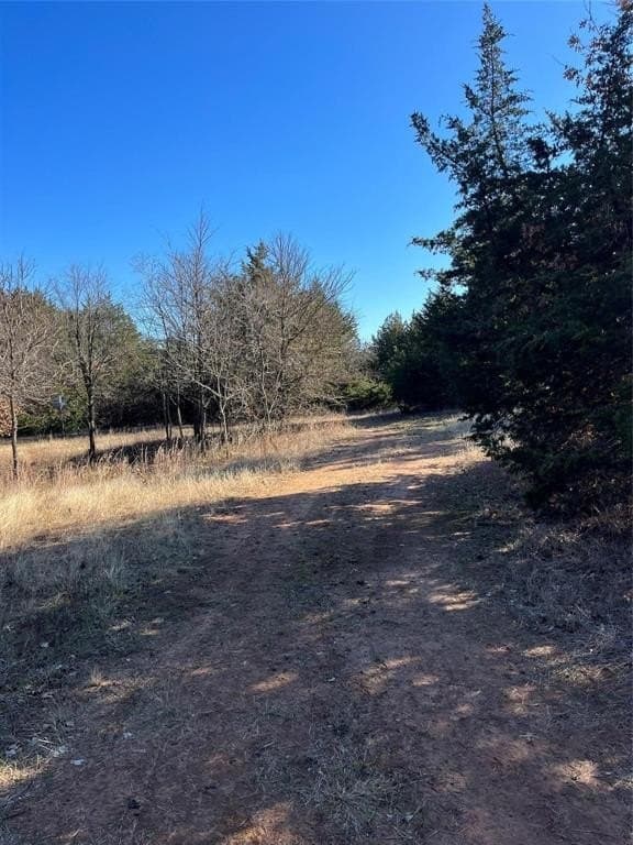 76.55 acres in Cooke County - photo 3