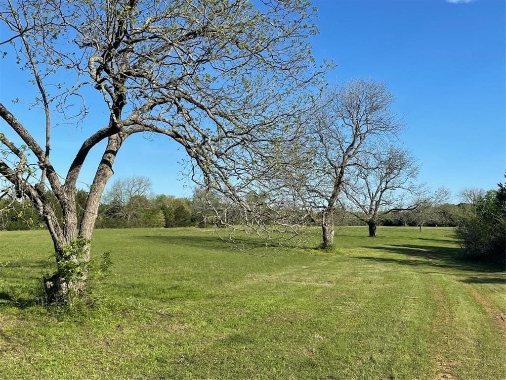 76.55 acres in Cooke County - photo 22