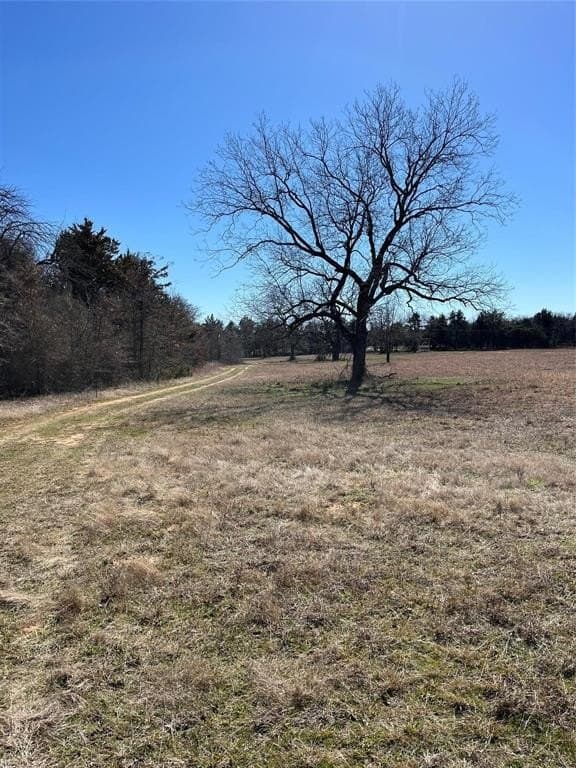 76.55 acres in Cooke County - photo 16