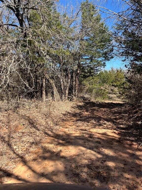 76.55 acres in Cooke County - photo 8