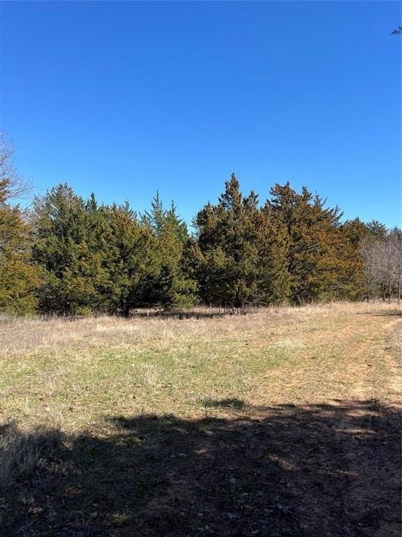 76.55 acres in Cooke County - photo 14