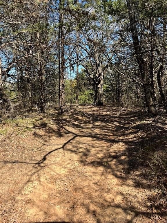 76.55 acres in Cooke County - photo 11