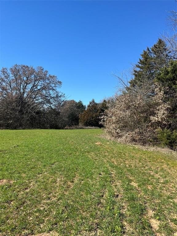 76.55 acres in Cooke County - photo 7