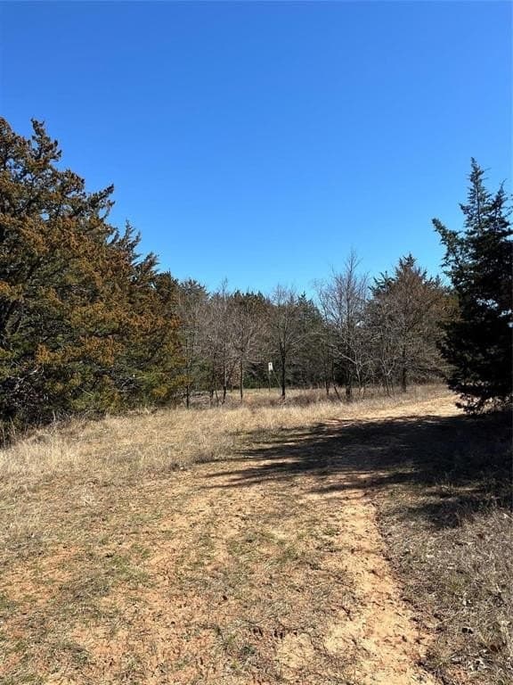 76.55 acres in Cooke County - photo 13