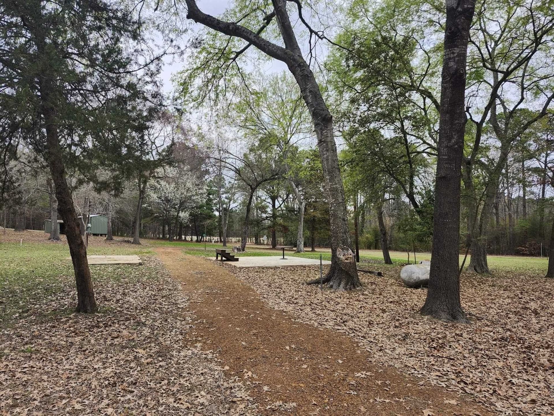 1.96 acres in Marion County - photo 3