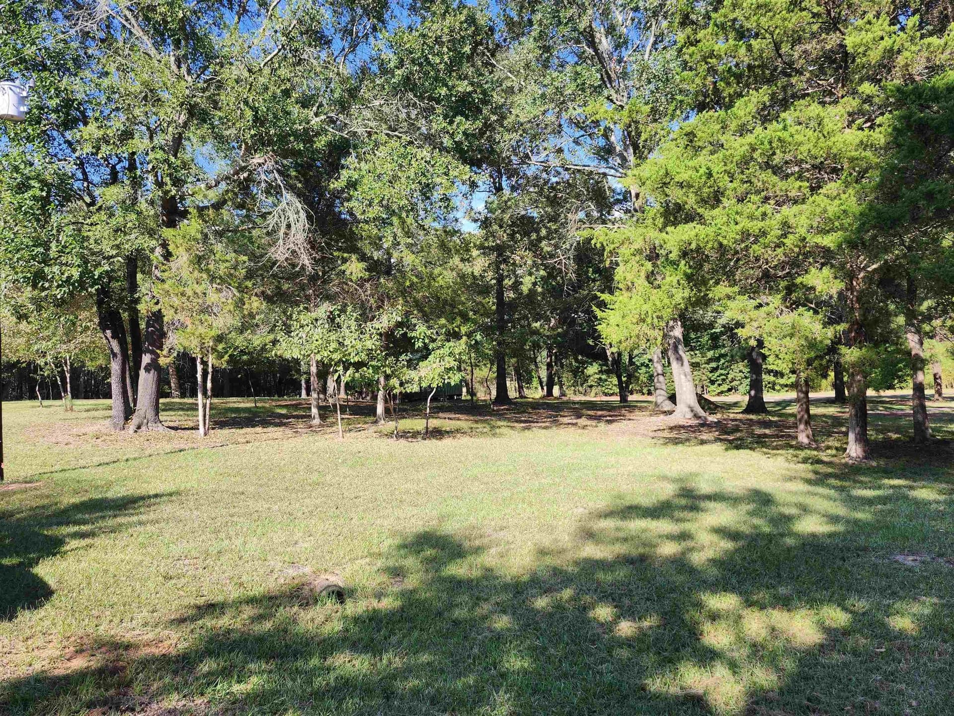 1.96 acres in Marion County - photo 8