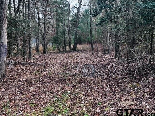 8.2 acres in Cherokee County - photo 6