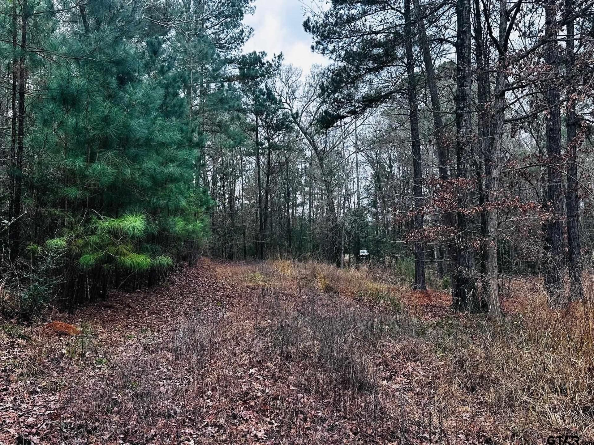 8.2 acres in Cherokee County - photo 24