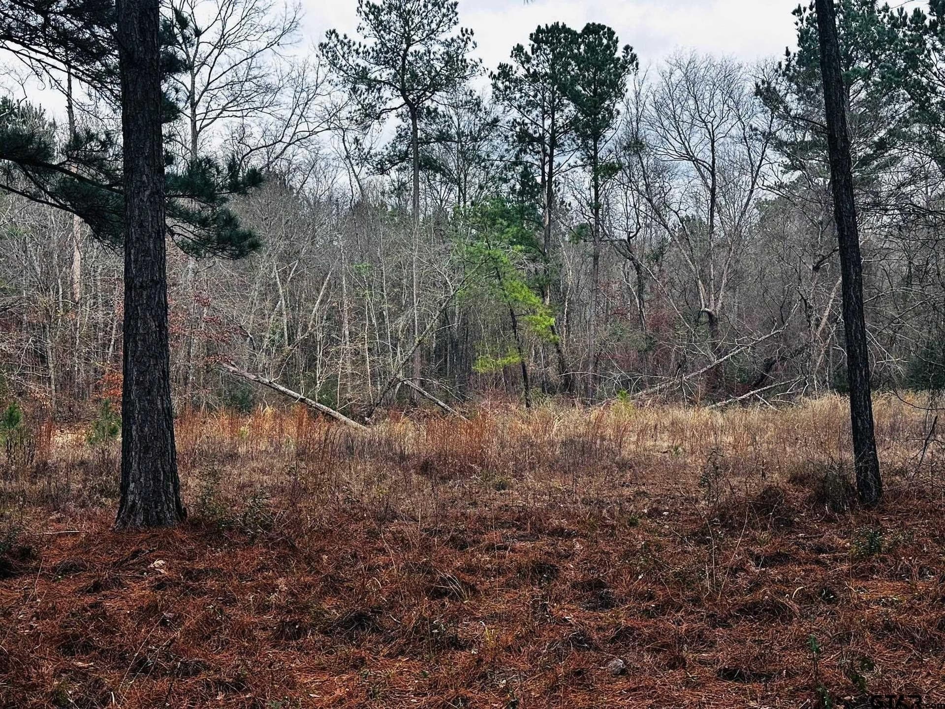8.2 acres in Cherokee County - photo 16