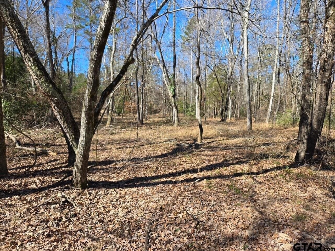 8.2 acres in Cherokee County - photo 26