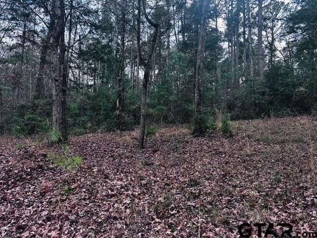 8.2 acres in Cherokee County - photo 7